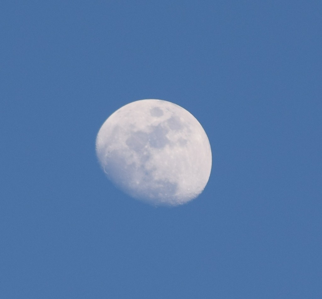 Shot of the moon
